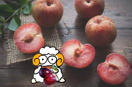 EGG'S CAFE イイ表情お願いしますぅ~♪