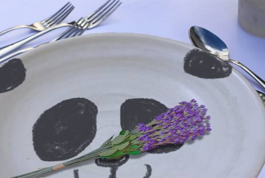 生き物ルーム第48