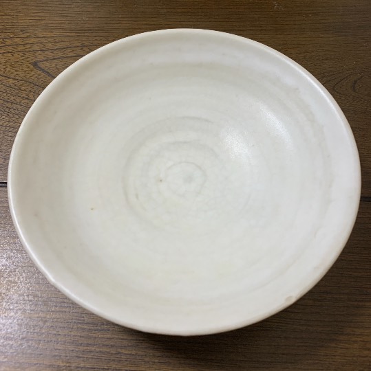 生き物ルーム第48