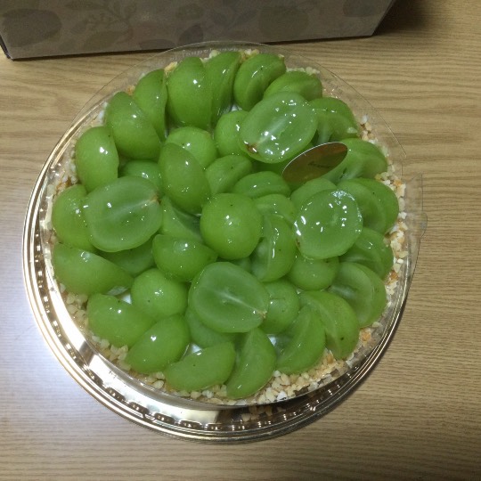 マスク同窓会詰所兼ニューフェイス歓迎所29(希望)