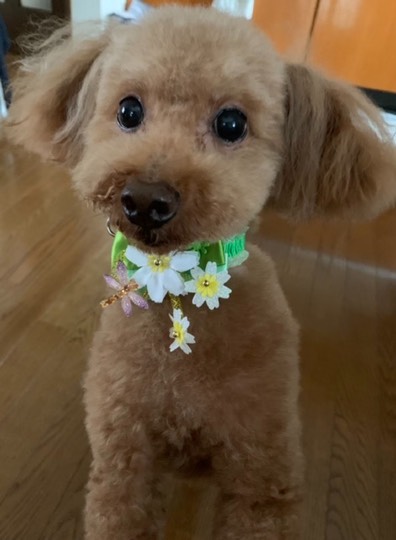 生き物ルーム第48