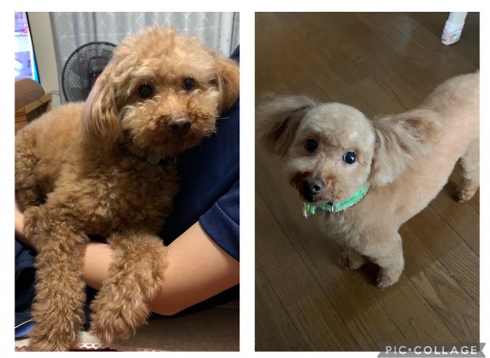 生き物ルーム第48