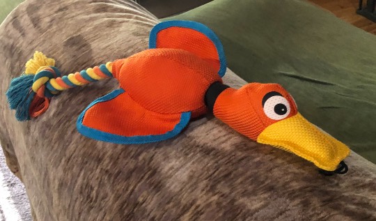 EGG'S CAFE イイ表情お願いしますぅ~♪