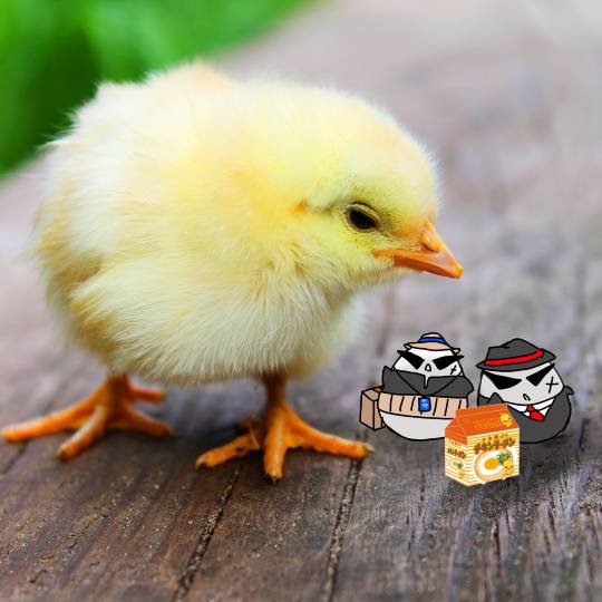 EGG'S CAFE イイ表情お願いしますぅ~♪