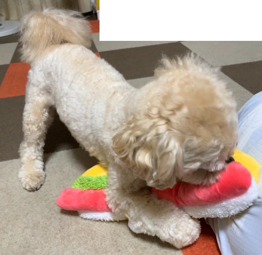 生き物ルーム第48