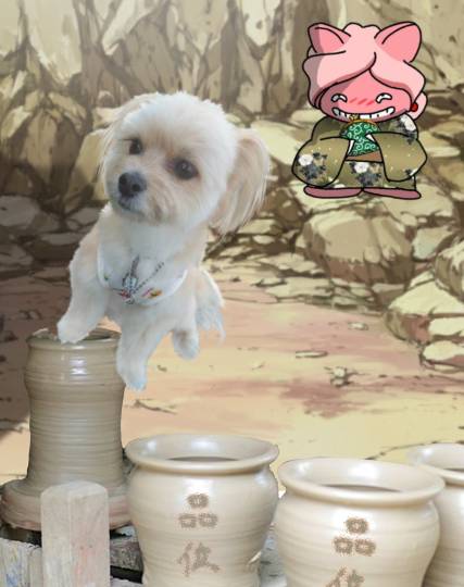 生き物ルーム第48