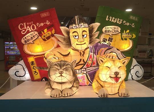 生き物ルーム第48