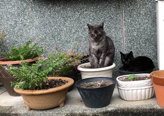 生き物ルーム第48