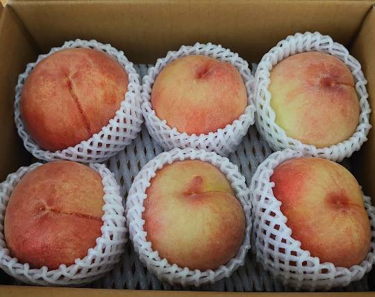 ★ドンキ♡♡ロピア 雑談44★