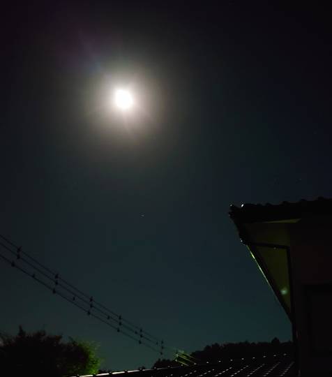 ★ドンキ♡♡ロピア 雑談45★