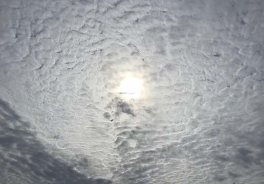 ★ドンキ♡♡ロピア 雑談45★