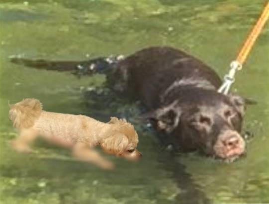 生き物ルーム第49