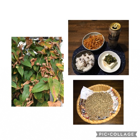 ★ドンキ♡♡ロピア 雑談45★