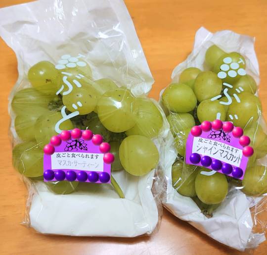 マスク同窓会詰所兼ニューフェイス歓迎所29(希望)