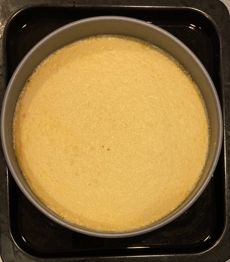 あつまれ‼︎雑談&ゲーム好きの森 season2#5 ドンとなった花火だ きれいだな〜♪♪