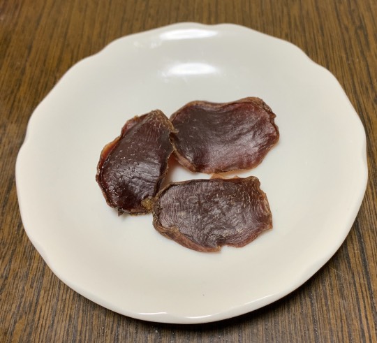 生き物ルーム第49