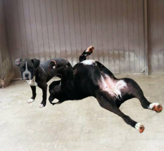 生き物ルーム第49