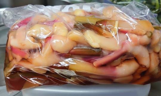 生き物ルーム第48