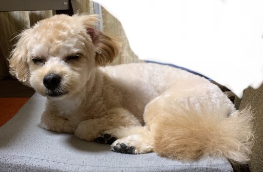 生き物ルーム第49