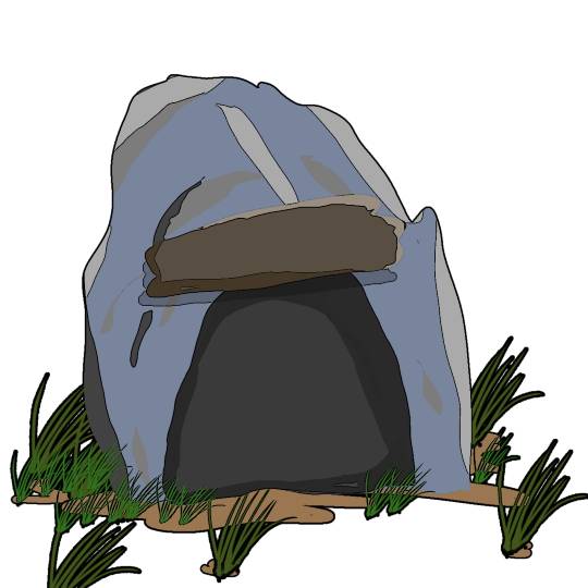 生き物ルーム第49