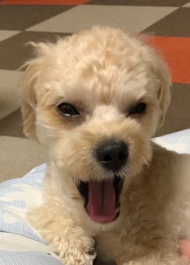 生き物ルーム第49