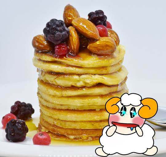 生き物ルーム第48