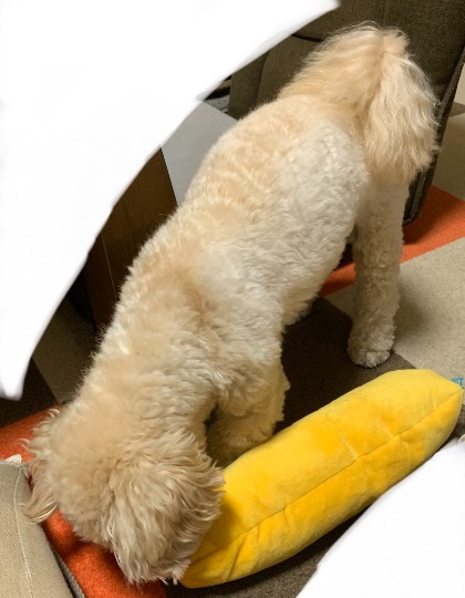 生き物ルーム第48