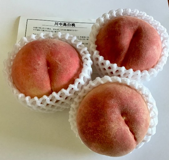 ★ドンキ♡♡ロピア 雑談44★