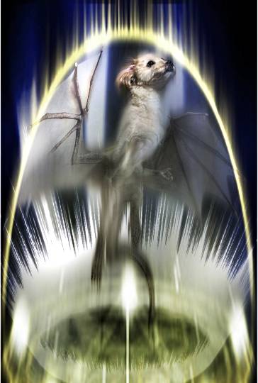 生き物ルーム第48