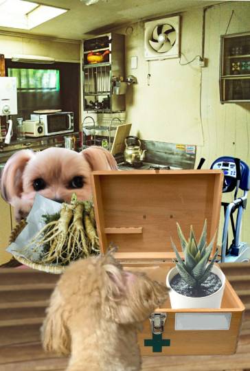 生き物ルーム第49