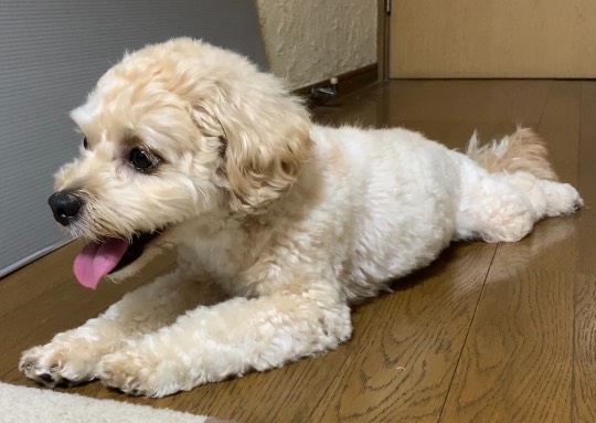 生き物ルーム第48