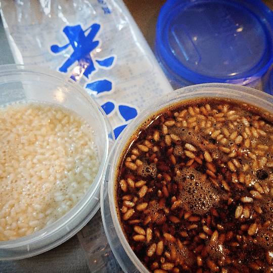 雑談ヌカ漬けブリーダー友の会