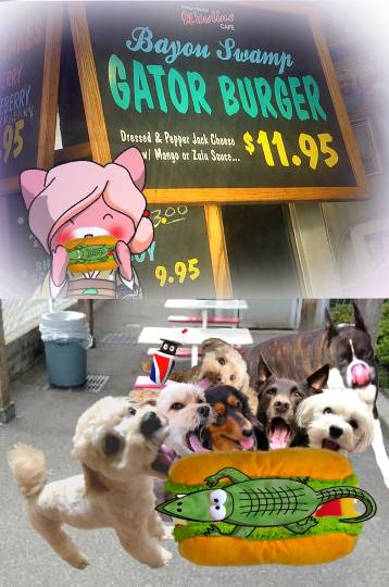 生き物ルーム第49