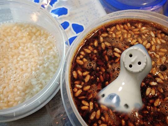 雑談ヌカ漬けブリーダー友の会