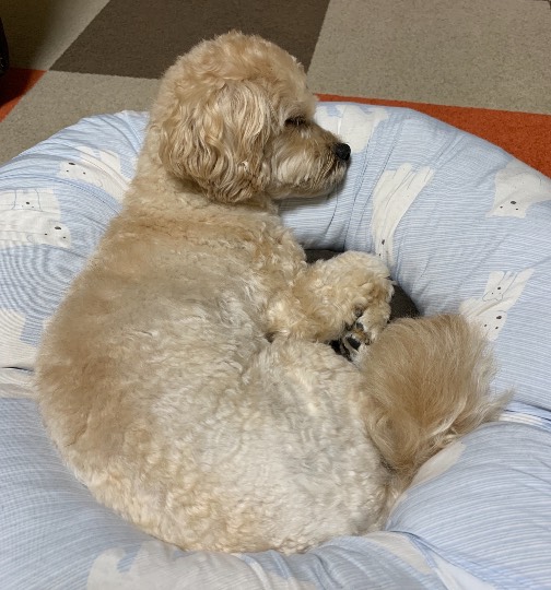 生き物ルーム第48