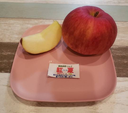 マスク同窓会詰所兼ニューフェイス歓迎所29(希望)