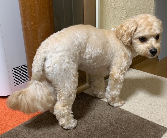 生き物ルーム第48