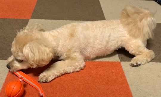 生き物ルーム第49