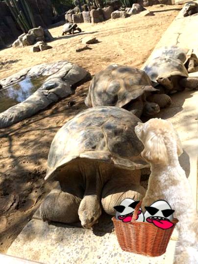 生き物ルーム第49