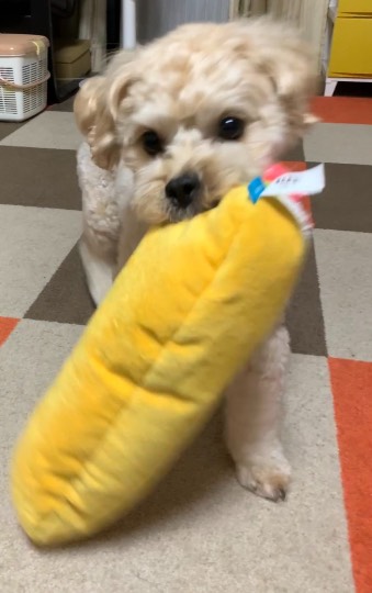 生き物ルーム第48