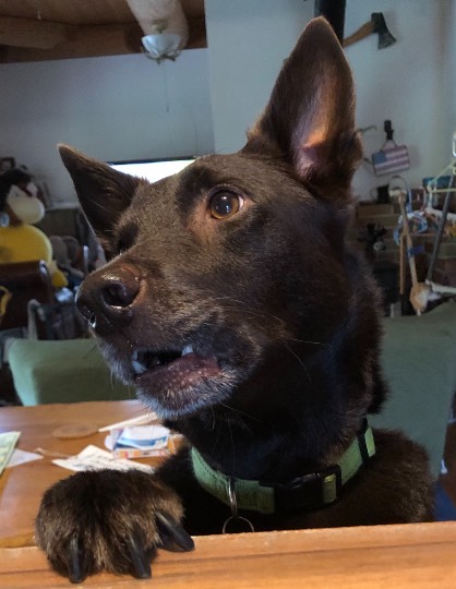 生き物ルーム第48