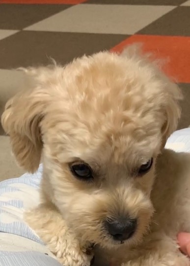 生き物ルーム第49