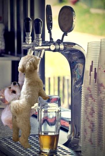 生き物ルーム第48