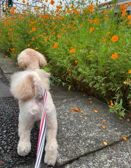 生き物ルーム第49