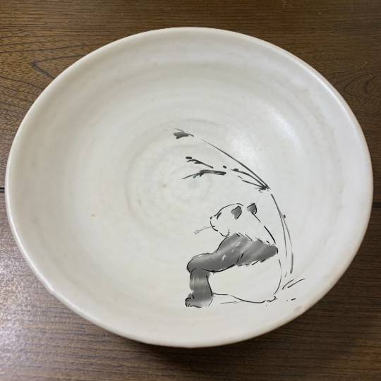 生き物ルーム第48