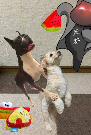 生き物ルーム第48