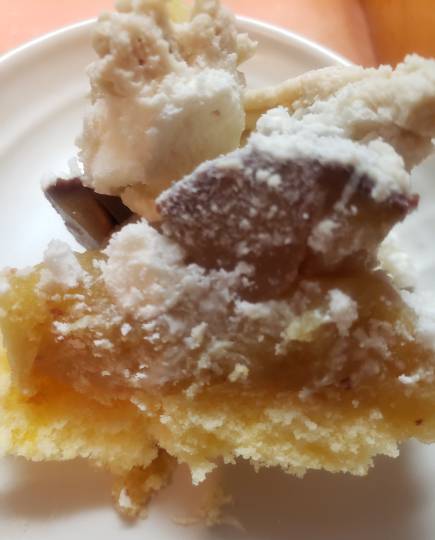 マスク同窓会詰所兼ニューフェイス歓迎所29(希望)