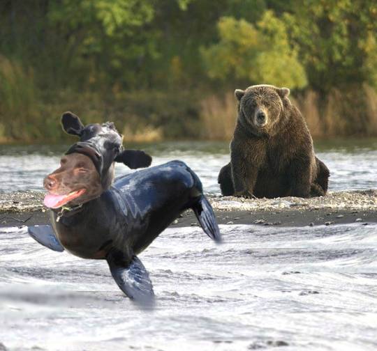 生き物ルーム第49