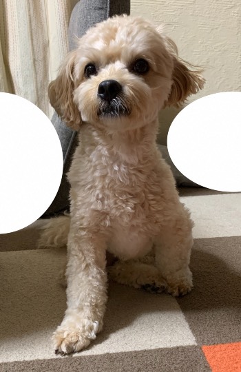 生き物ルーム第48