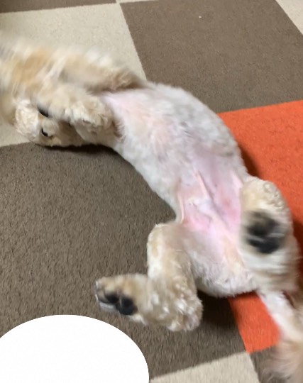 生き物ルーム第49